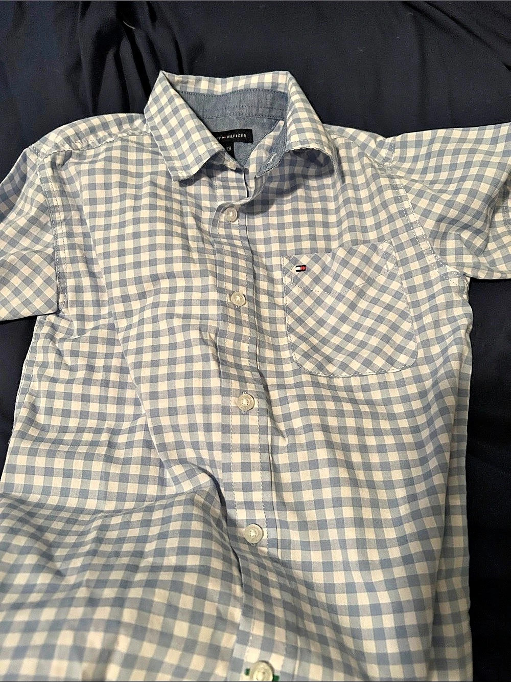 Tommy Hilfiger Kids Gingham Button Down Blue & White
9 shirts 7 t shirts 1 Tomm